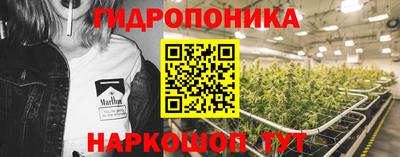 крисы Гусь-Хрустальный