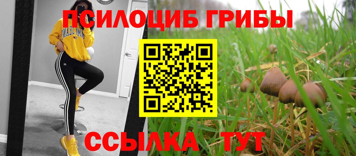 Мелеуз  Псилоцибиновые грибы Psilocybine cubensis  Вход с VPN  Галлюциногенные грибы ЛСД 