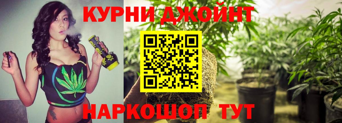 Бошки Шишки семена Мелеуз